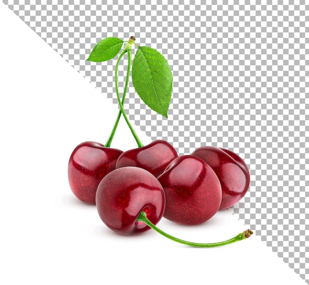 Cherry berry isolated