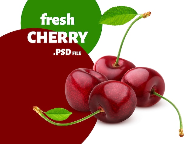 PSD cherry berry with stems and leaves isolated