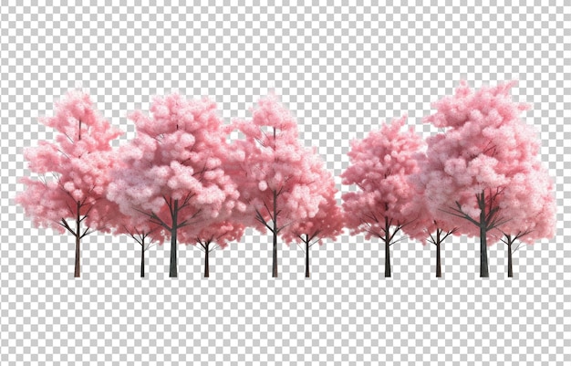 PSD cherry blossom sakura trees isolated on transparent background