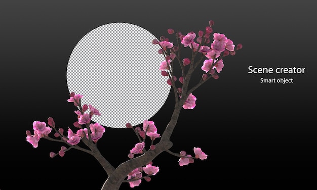 PSD cherry blossom trees isolated sakura trees and branches clipping path