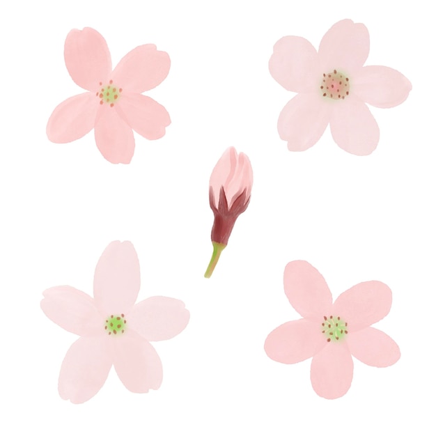 PSD cherry blossom