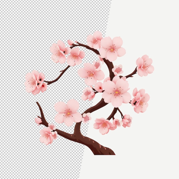 Cherry blossom