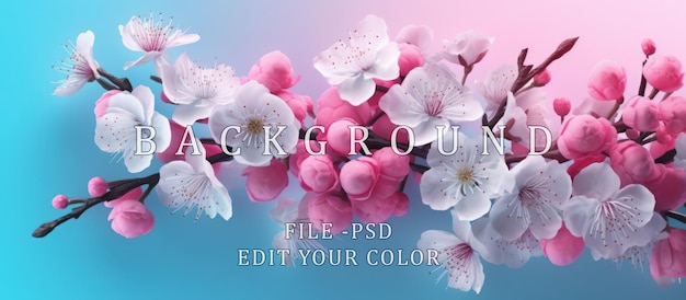 PSD 桜の花が開いている 浅い青い背景