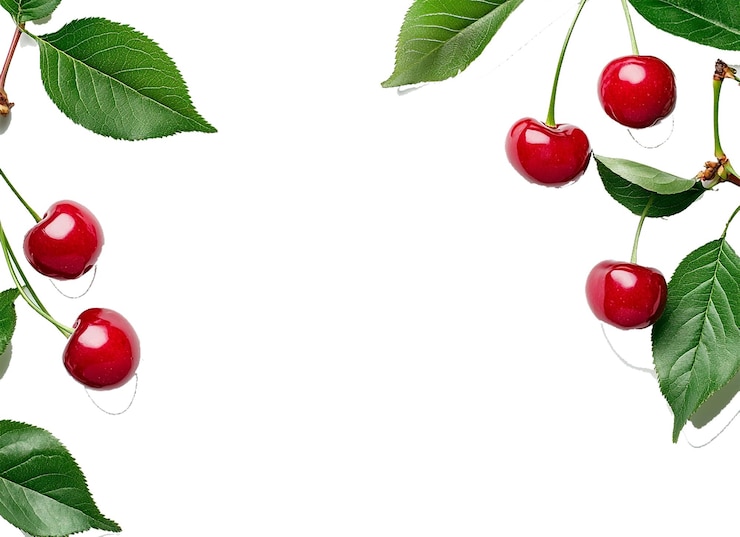 PSD cherry fruit hd quality
