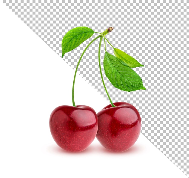 Cherry fruits isolated with clipping path