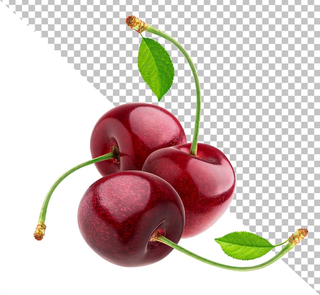 Cherry isolated on white background with clipping path