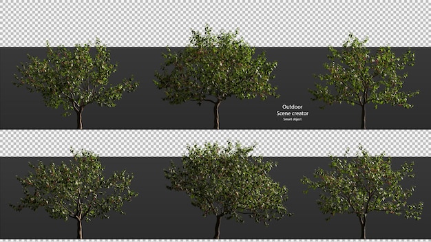 Cherry tree clipping path cherry tree isolated