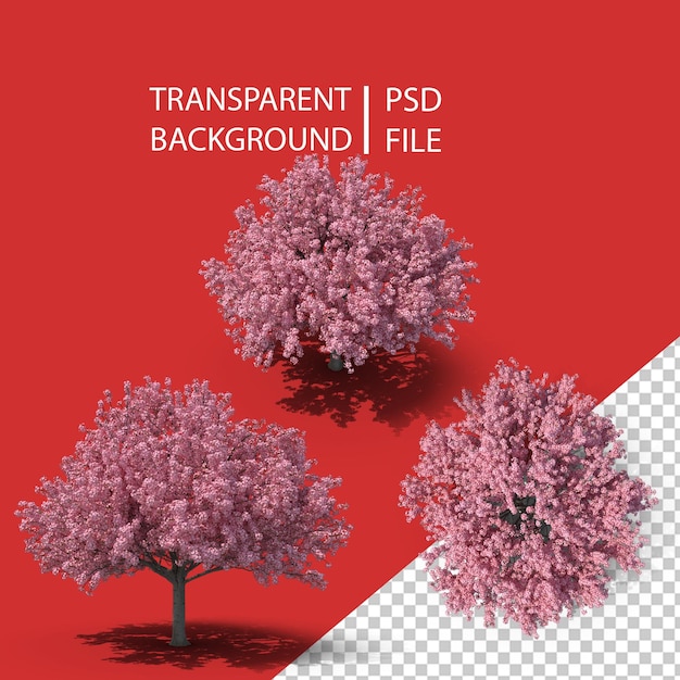 PSD cherry tree png