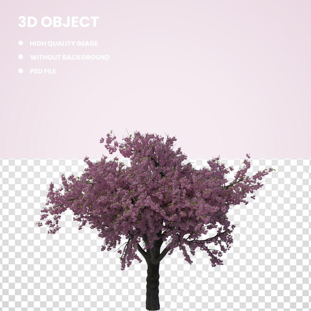 PSD cherry tree