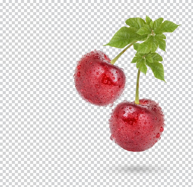 PSD cherry with drops with leaves isolated premium psd