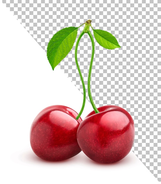 Cherry with leaves isolated