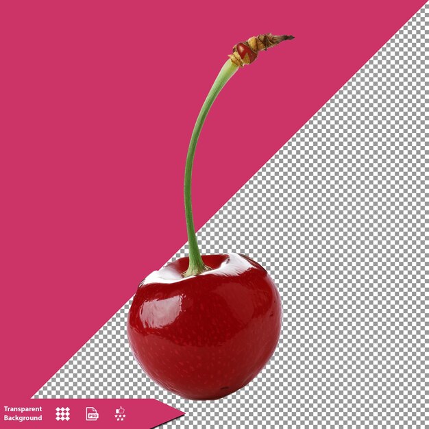 PSD a cherry with a stem on it is in front of a pink background