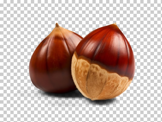 PSD castagne isolate su sfondo trasparente png psd