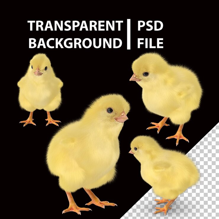 PSD png 的小朋友