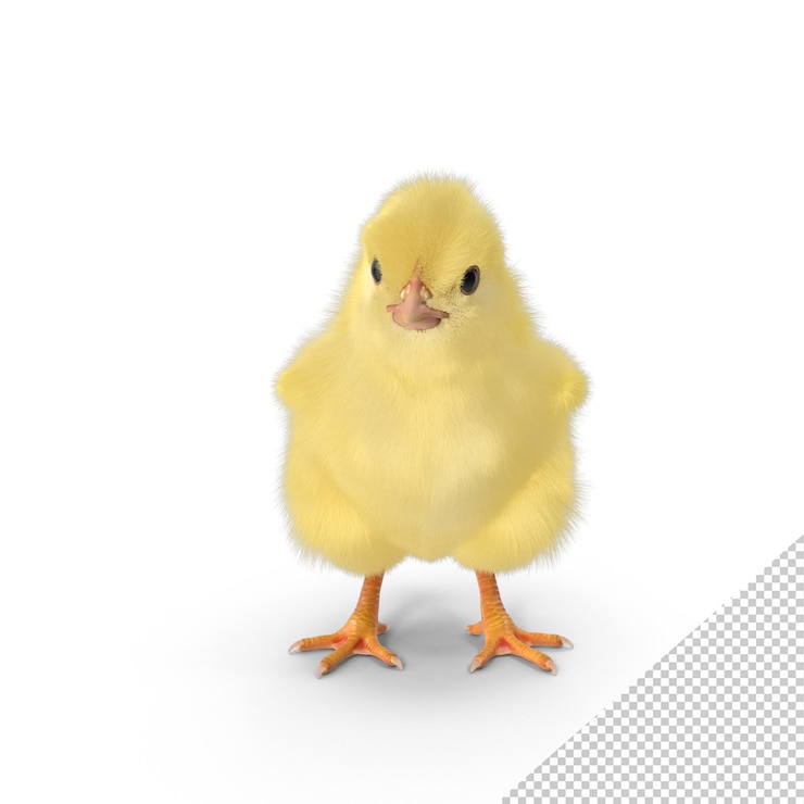 PSD png 的小朋友