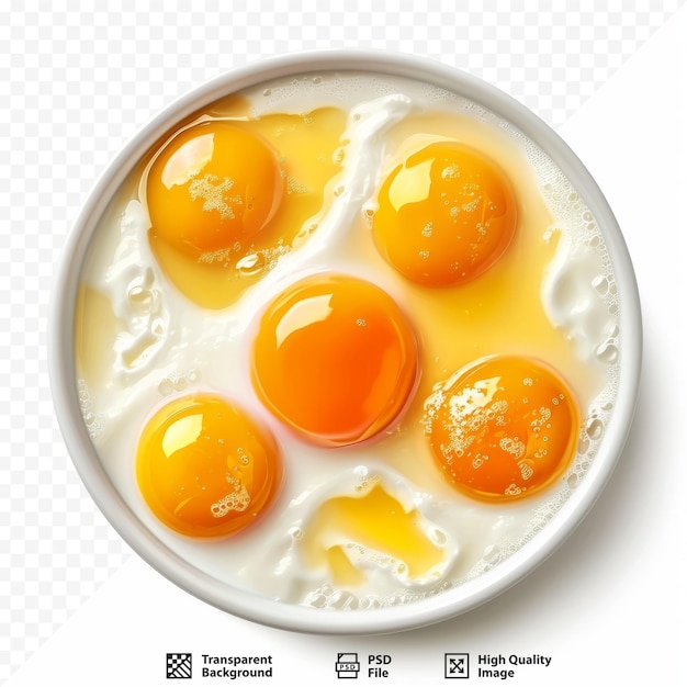 PSD 우유 요리 오믈렛에 닭고기 달걀