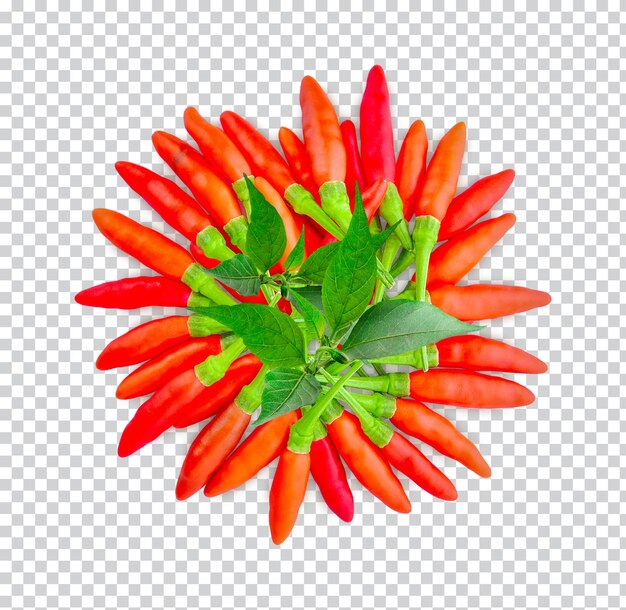 Chili pepper with leaves isolated premium psd