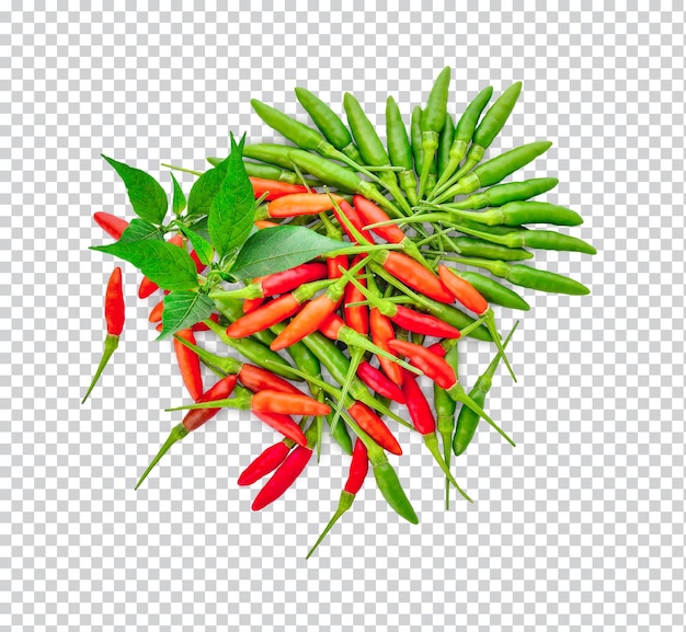 PSD chili pepper with leaves isolated premium psd