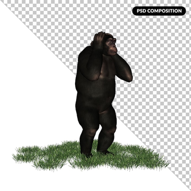 PSD chimpanzee zoo animal isolated 3d rendering