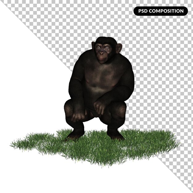 PSD chimpanzee zoo animal isolated 3d rendering