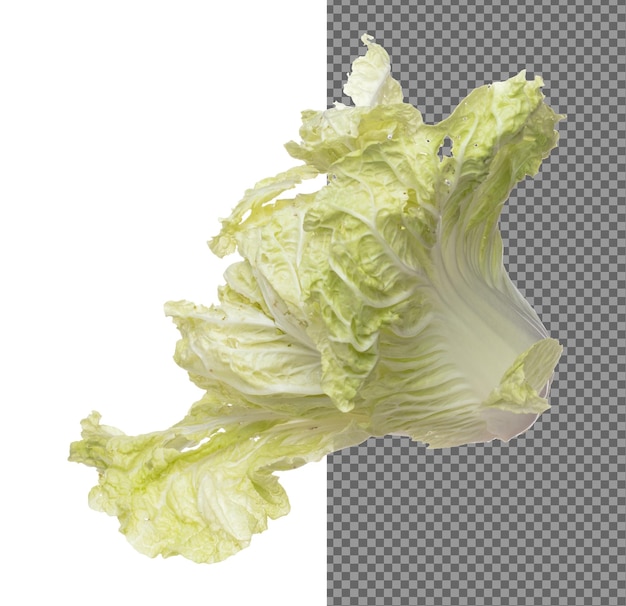 PSD chinese cabbage fly in mid air green fresh vegetable chinese cabbage falling leaf organic fresh vegetable with eaten leaf of chinese cabbage close up texture white background isolated freeze