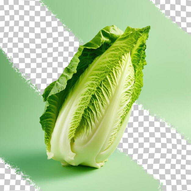 PSD chinese cabbage on a transparent background