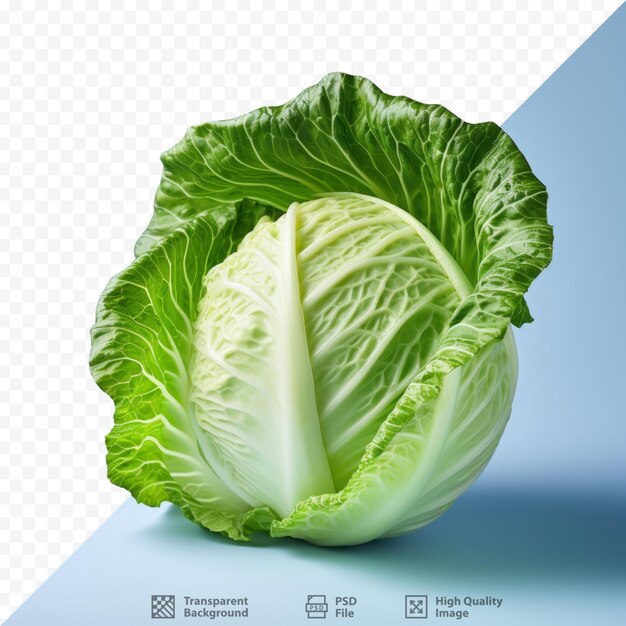 PSD chinese cabbage vegetables on isolated transparent background with clipping path in perfect imperfection