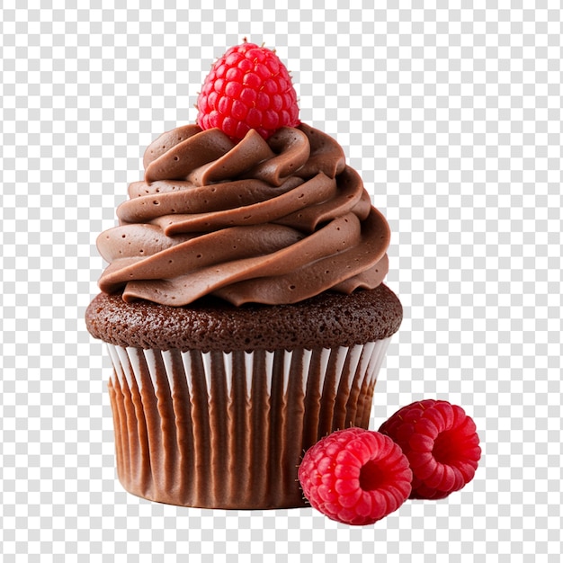 chocolate raspberry cupcake with chocolate frosting and fresh raspberries