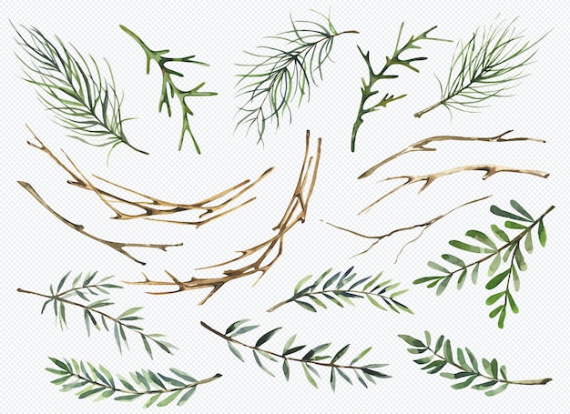 PSD Рождественские ветки и веточки арт-объекты изолированные набор рождественские праздничные украшения вечнозеленые листья