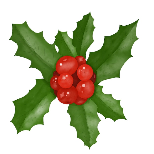 ハリーの葉と赤いベリーのクリスマス・コンポジション デジタル・アクアカラー・カラー・イラスト