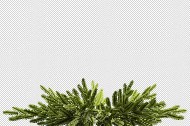 分離レンダリングされた3Dのクリスマスの装飾的な花輪