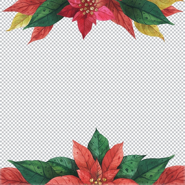 PSD christmas floral frame with winter plant poinsettia. watercolor border