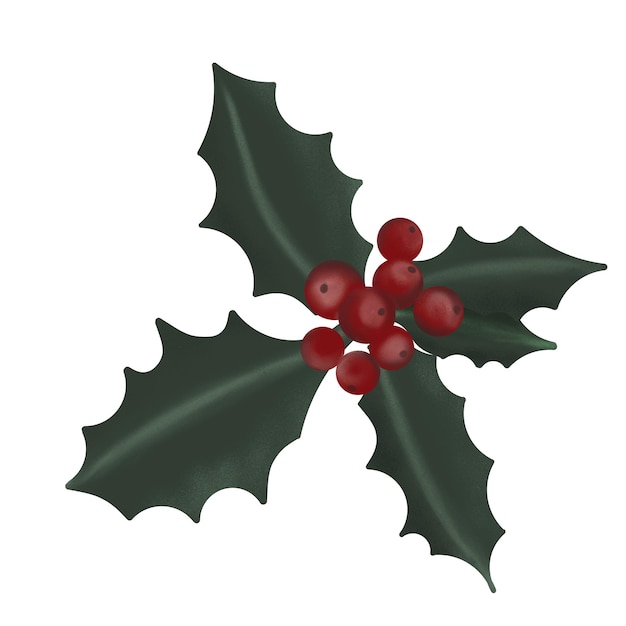クリスマス・ミステル
