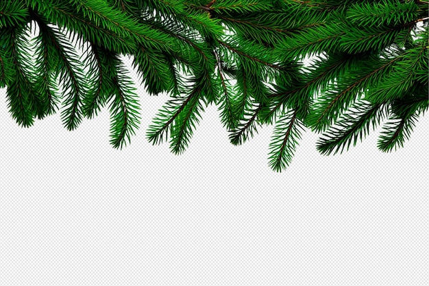 PSD christmas tree branches