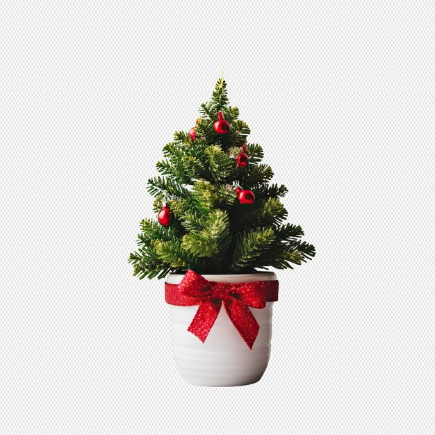 PSD christmas tree png in pot