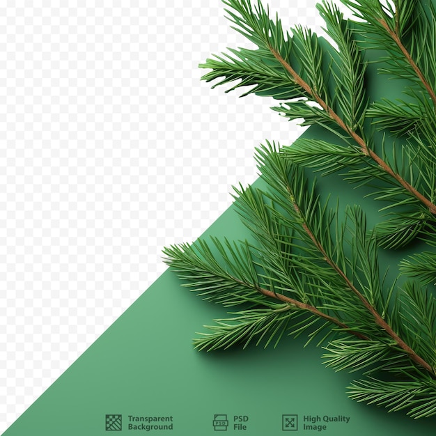 PSD un albero di natale su uno sfondo bianco con uno sfondo verde.