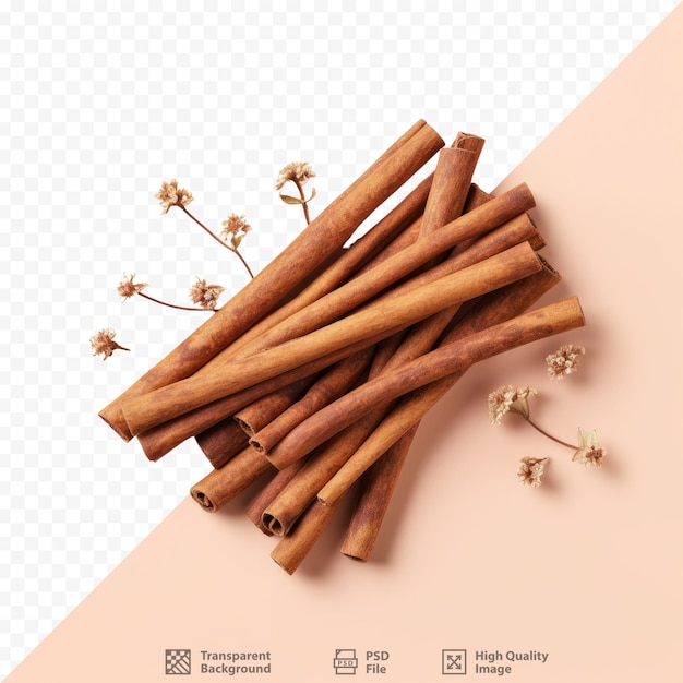 PSD cinnamon bark on transparent background