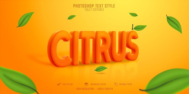 Citrus 3d Text Style Effect Template Design