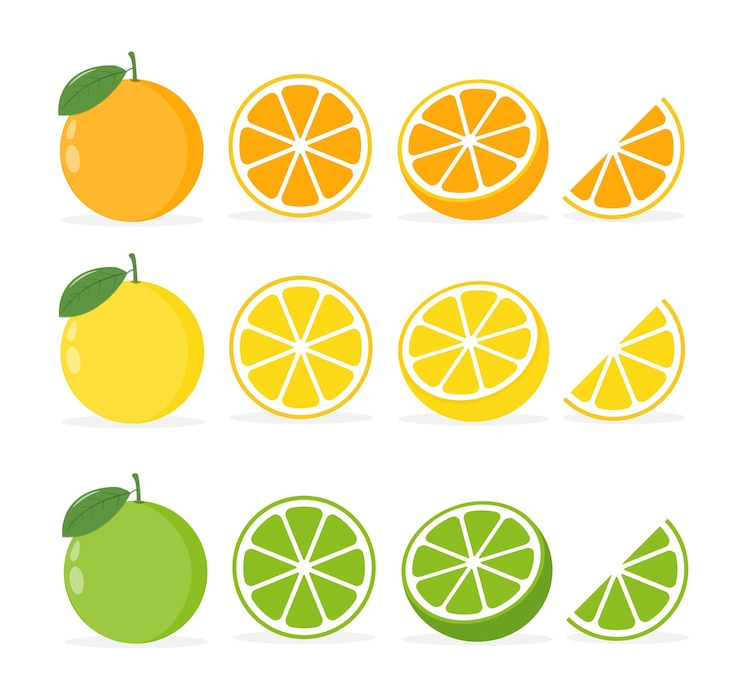 PSD citrusvruchten vector set sinaasappels limes amp mandarijnen met hele halve amp quartered views voor sap