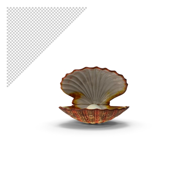 PSD clam shell with pearl png