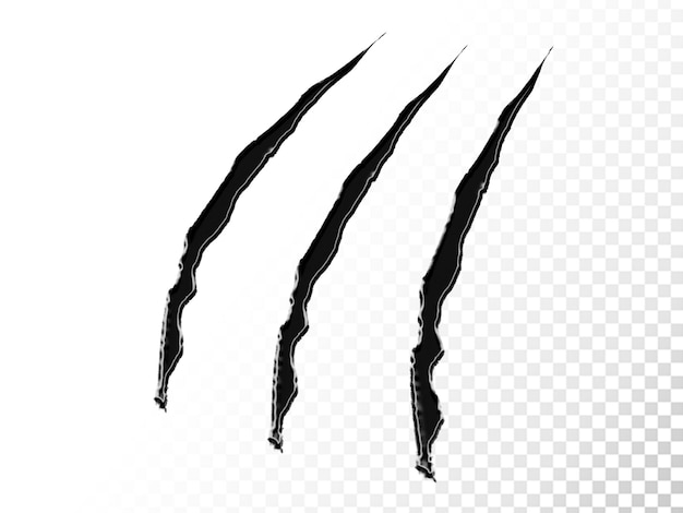 透明な背景に隔離された爪の痕跡のイラスト