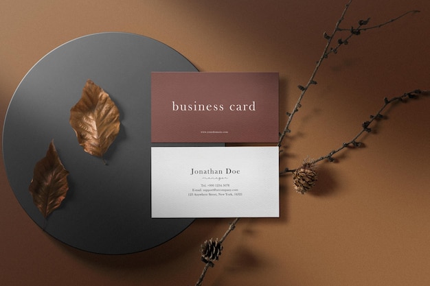 Clean minimal business card mockup on box with dry leaves