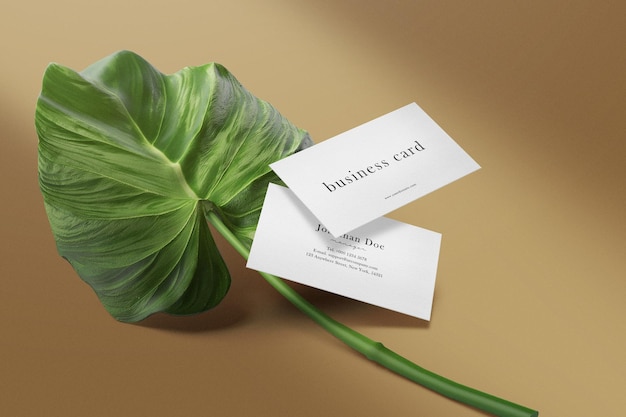 Clean minimal business card mockup on Document