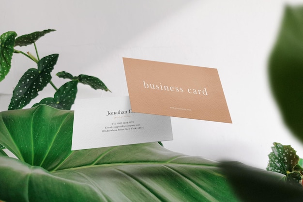 PSD clean minimal business card mockup floating on leaves