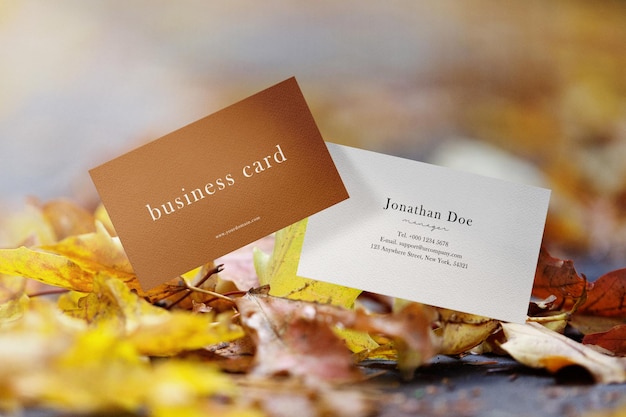 Clean minimal business card mockup floating on maple leaves