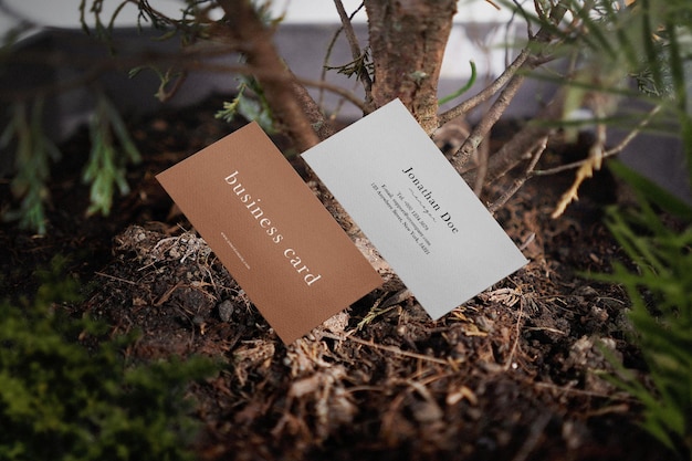 Чистый минимальный макет визитной карточки на фоне цветочного горшка с растениями на переднем плане