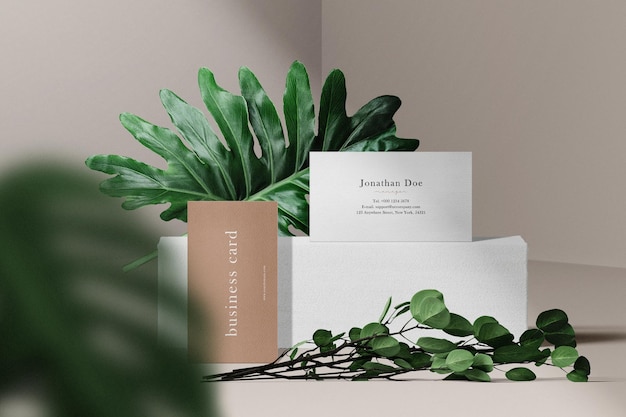 Clean minimal business card mockup on stone with plant and leaves background. PSD file.