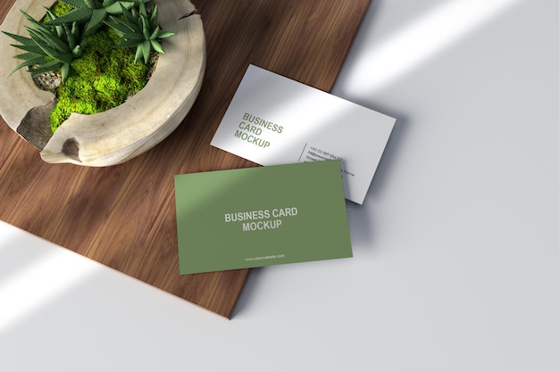 Clean minimal business card mockup on wood panel and cactus plant