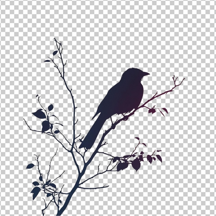 PSD clip art silhoutte bird