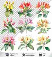 PSD clipart bunga lonceng air warna indah dan daun elemen floral aircat lukisan bunga air